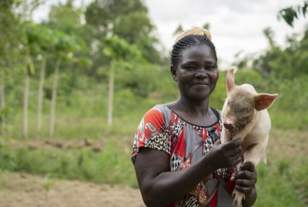 Give a Pig