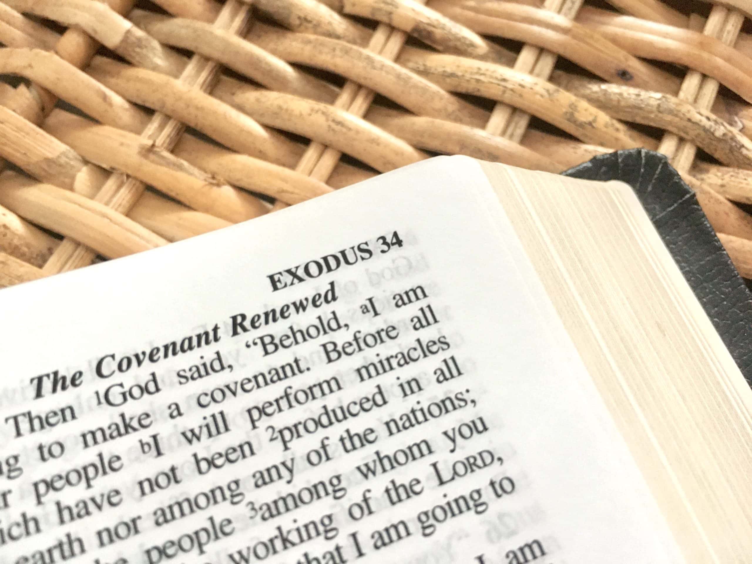20 Inspiring Bible Verses About Helping The Poor Bright Hope