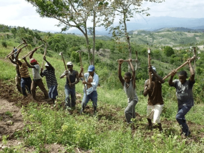 haitian men plowing