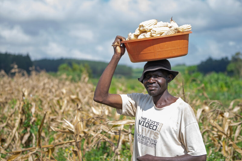 Michael planting corn for farming in Uganda