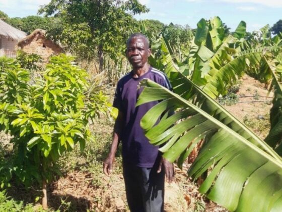 Zambian farmer develops sustainable solution