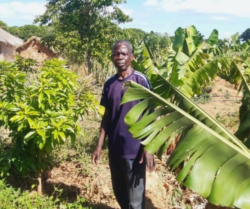 Zambian farmer develops sustainable solution