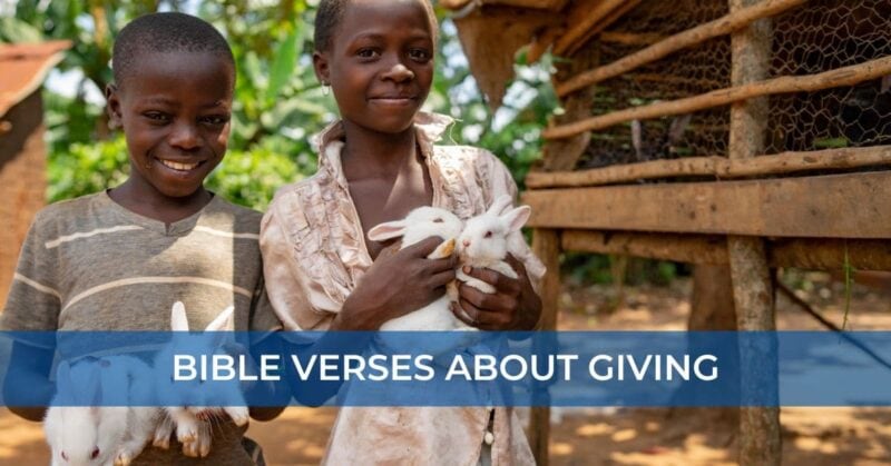 Bible Verses about Giving