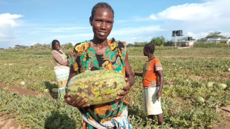 how to help the drought in kenya