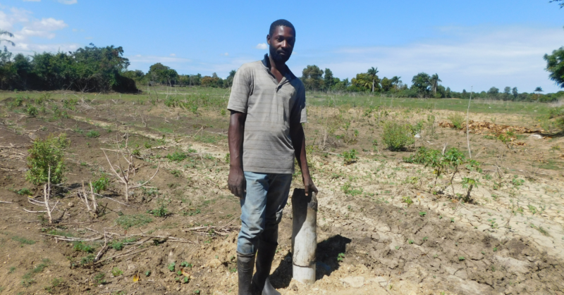 poor people in haiti food insecurity