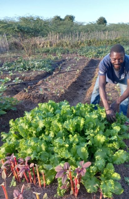 Haiti Farm