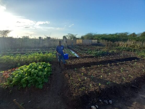 Haiti Sustainable Farming