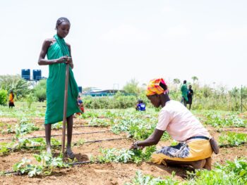 global-income-inequality Women farming